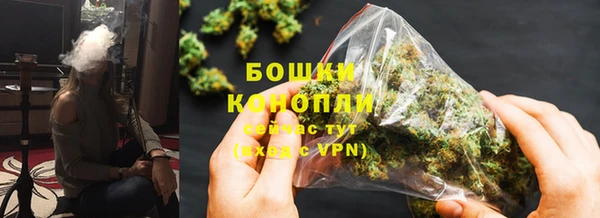 гидра Арсеньев