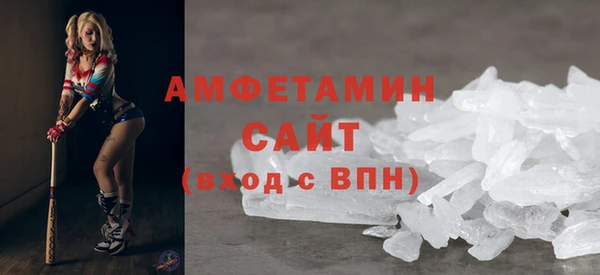 ПСИЛОЦИБИНОВЫЕ ГРИБЫ Няндома