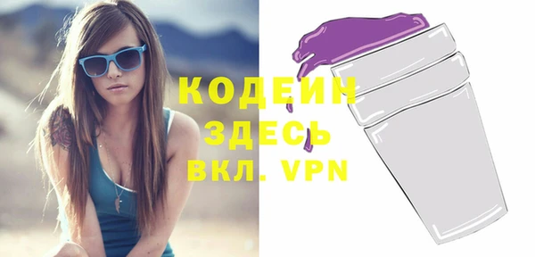 ПСИЛОЦИБИНОВЫЕ ГРИБЫ Няндома