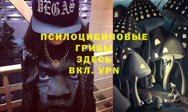 бошки Нягань