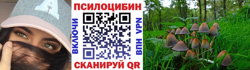 Галлюциногенные грибы MAGIC MUSHROOMS  ОМГ ОМГ tor  Аткарск 